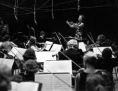 Blanche Honegger Moyse, Marlboro Festival Orchestra. Photo by Woodrow Leung.