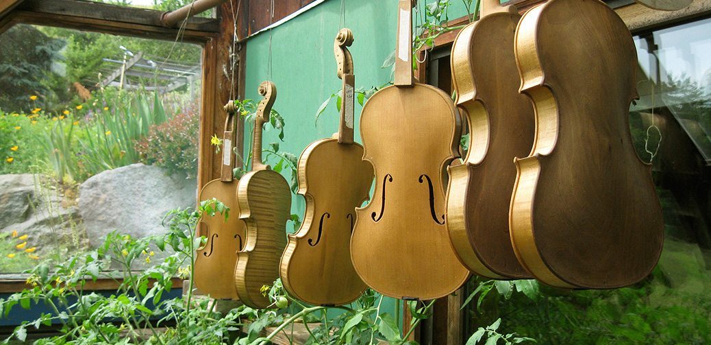 Cox Violins